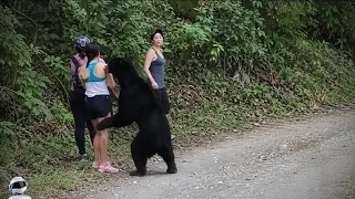 Это Произошло Сегодня! Глаза Не Верят, но Эти Случаи Сняли На Камеру