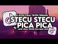 Download Lagu DJ STECU STECU X PICA PICA SLOW VIRAL TIKTOK 2025 FULL SONG