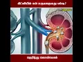 Download Lagu Let's know how to form kidney stones