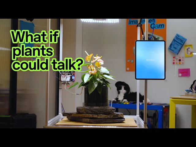 What if plants could talk?