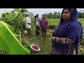 Download Lagu লাখ টাকার মাছ ভেসে গেল বৃষ্টির পানিতে | Doyel Agro