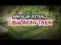 Download Lagu Makhluk Astral Mata Air Cibulakan Tarik | Desa Sunia,  Majalengka