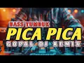Download Lagu PICA PICA _ BASS TUMBUK REMIX 2025 GOPAL DJ REMIX