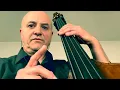 Speak Like A Child Bass Line Play Along Backing Track