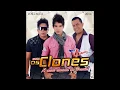 OS CLONES - Volume 2 - 2014 #portaldoarrocha