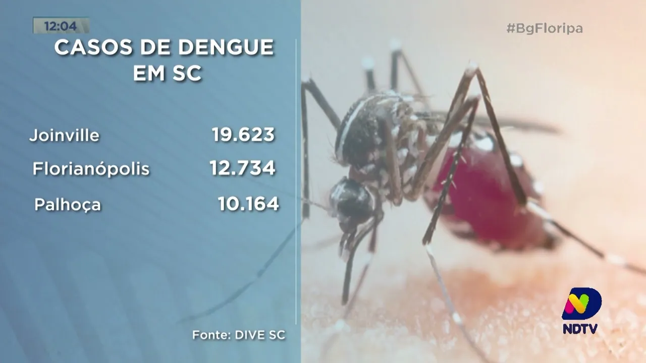 Mais de 70 mil catarinenses foram infectados pela Dengue em 2023