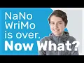 What to Do and Not Do With Your NaNoWriMo Novel