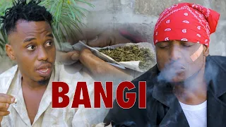 kitale na stan bakora wakamatwa na bangi