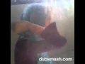 Download Lagu Dubsmash kukutuk kau jadi Tai