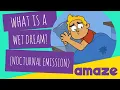 What is a Wet Dream Nocturnal Emission