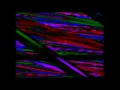 Obay Alsharani - Cocoon