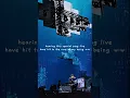 Download Lagu from the bottom of his heart 🌅 #runseokjin #runseokjin_eptour #korea #bts #진 #kimseokjin #btsarmy