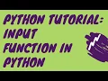 Python Tutorial How to use Input Function in Python