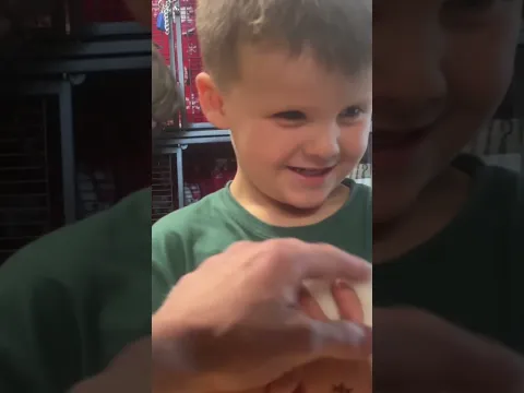 My toddler took me to a pet store