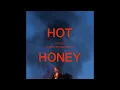 Tiësto & Alana Springsteen - Hot honey (2.024)