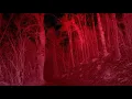 Advent Sorrow  - Pestilence Shall Come
