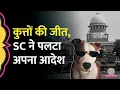 Download Lagu 'पूरे देश में...' Stray dogs पर Supreme Court का बड़ा judgement, जानिए फैसले की एक-एक बात!
