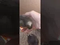 Bonding time