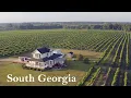 House in the Vineyards Family-owned Winery in South Georgia