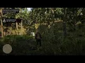 Red Dead Redemption 2 Golden Currant Location