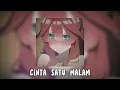 Download Lagu cinta satu malam (slowed/reverb)