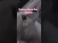 Tattoo Ideas for AD