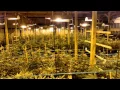 Greenside Visits Monkey Grass Farms