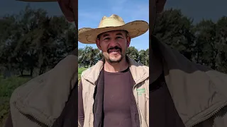 هكذا قبضوا على تشي جيفارا 