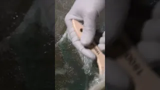 Episode 6 preview #totalboat #fiberglass