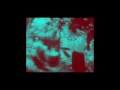 Requin Chagrin - Le Chagrin