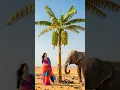 Download Lagu Girl Elephant Friendship ❤️|Sad Story in Desert 😭 #shorts #sad #shortvideo