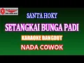Download Lagu KARAOKE DANGDUT SETANGKAI BUNGA PADI - SANTA HOKY (COVER) NADA COWOK