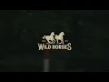 Wild Horses - Sioux Falls (Official Lyric Video)