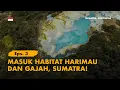 Download Lagu KELANA BENTALA  - Eps. 3 Lembah 1.000 Kawah, SUOH - LIWA, Lampung Barat!
