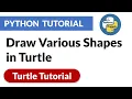 Draw Various Shapes in Turtle Turtle Python Tutorial PyPower