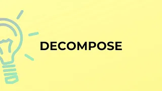 What is the meaning of the word DECOMPOSE