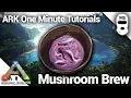 HOW TO MAKE MUSHROOM BREW Ark Survival Evolved One Minute Tutorials