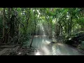 Download Lagu Beautiful Relaxing Music • Peaceful Piano Music \u0026 Guitar Music | Sunny Mornings by Peder B. Helland
