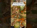 Lagu Eggplant Mixed Chili 😋😋 😋#videoshort #food #homemade #masaksimple #eggplant #terongdicabein