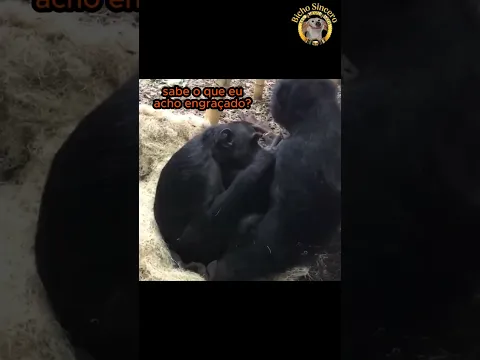 De QUEM é esse GLITTER!?🙊😡