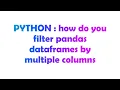 PYTHON how do you filter pandas dataframes by multiple columns