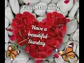 Happy Sunday E-Card Good Morning Happy Sunday Happy Sunday Gifs Happy Sunday Animated Card