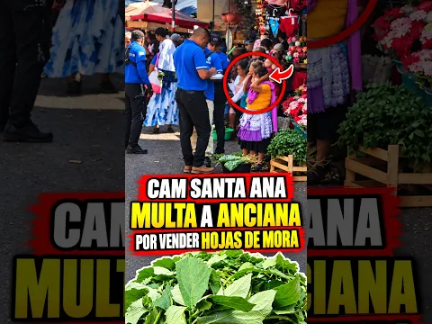 Agentes del CAM Santa Ana multan a anciana por vender hojas de mora afuera del mercado.