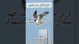 دعاء علاج الأرق وعدم النوم كما ورد عن رسول الله صلى الله عليه وسلم 