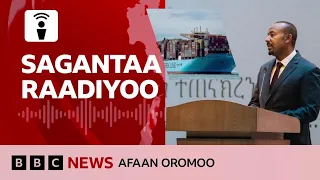 Sagantaa Raadiyoo BBC Afaan Oromoo Fulbaana 17 2025 BBC News Afaan Oromoo 