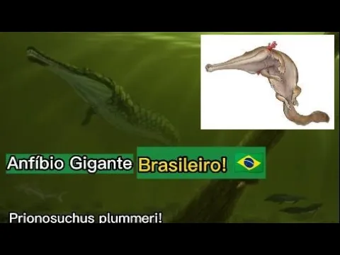 Vídeo do YouTube