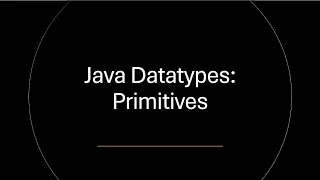Primitive Datatypes in Java