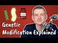 Genetic Modification Explained Insulin-Producing Bacteria
