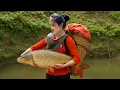 Download Lagu Ly Tieu Thu - Catch giant golden carp and drop it into the pond. Adopt fish