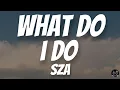 Download Lagu What Do I Do – SZA Lyrics